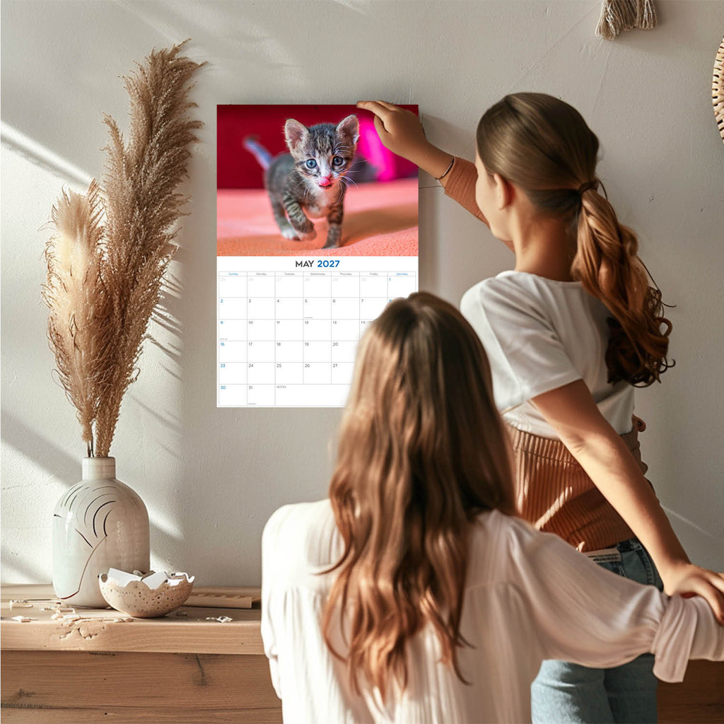 Kittens Wall Calendar 2027 - 12" x 9" 14-Month Cute Feline Calendar