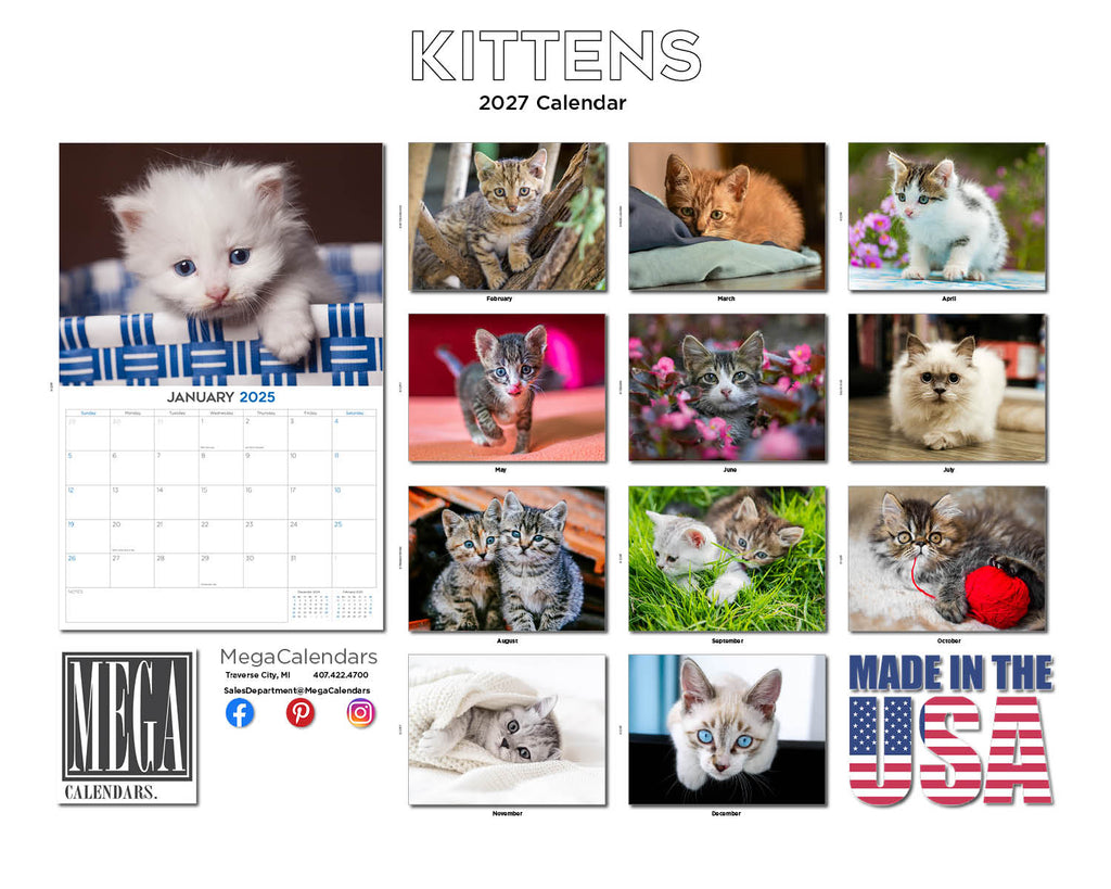 Kittens Wall Calendar 2027 - 12" x 9" 14-Month Cute Feline Calendar