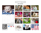 Kittens Wall Calendar 2027 - 12" x 9" 14-Month Cute Feline Calendar