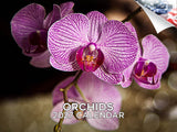 Orchids Wall Calendar 2027 - 12" x 9" 14-Month Exotic Floral Calendar