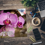 Orchids Wall Calendar 2027 - 12" x 9" 14-Month Exotic Floral Calendar