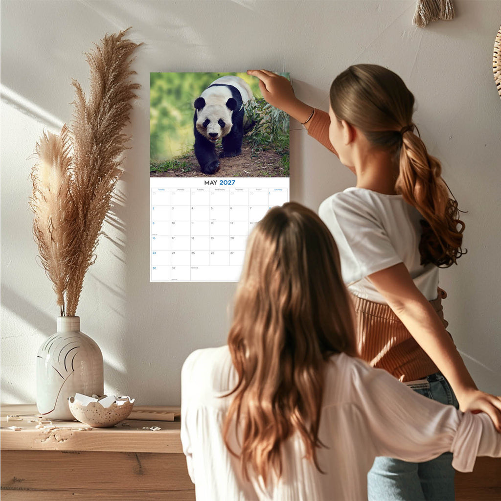 Pandas Wall Calendar 2027 - 12" x 9" 14-Month Giant Panda Bear Calendar