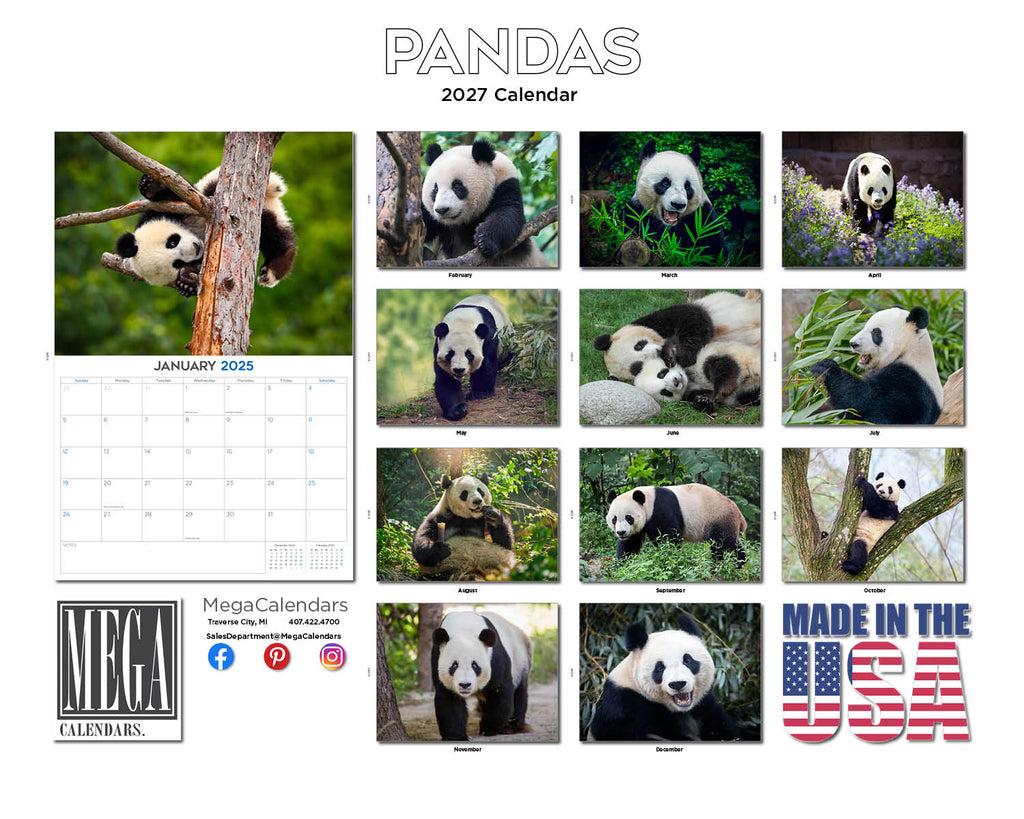 Pandas Wall Calendar 2027 - 12" x 9" 14-Month Giant Panda Bear Calendar