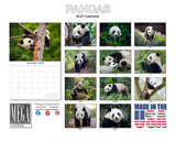 Pandas Wall Calendar 2027 - 12" x 9" 14-Month Giant Panda Bear Calendar
