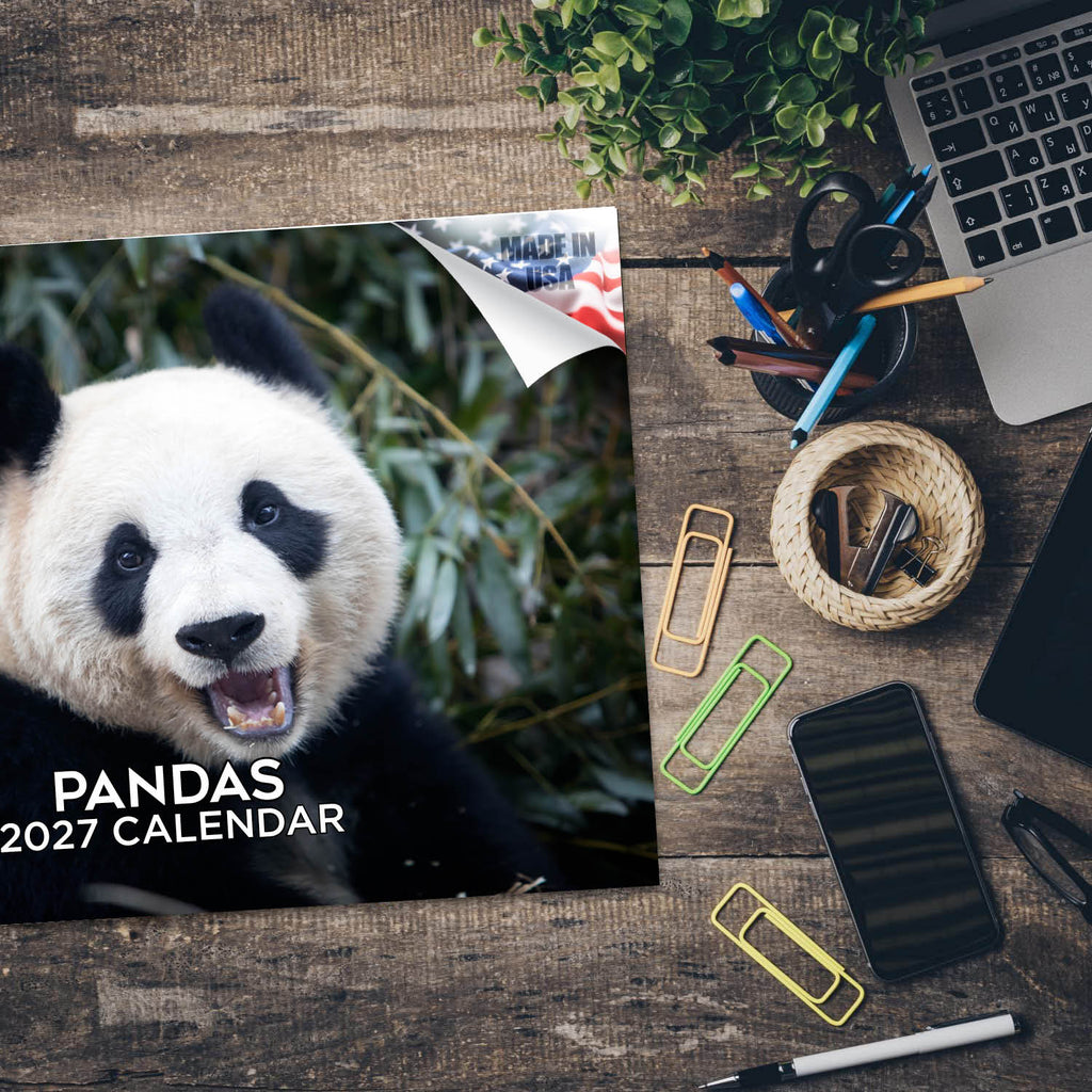 Pandas Wall Calendar 2027 - 12" x 9" 14-Month Giant Panda Bear Calendar