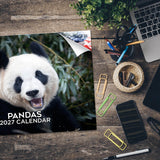 Pandas Wall Calendar 2027 - 12" x 9" 14-Month Giant Panda Bear Calendar
