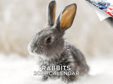 Rabbits Wall Calendar 2027 - 12" x 9" 14-Month Cute Bunny Calendar