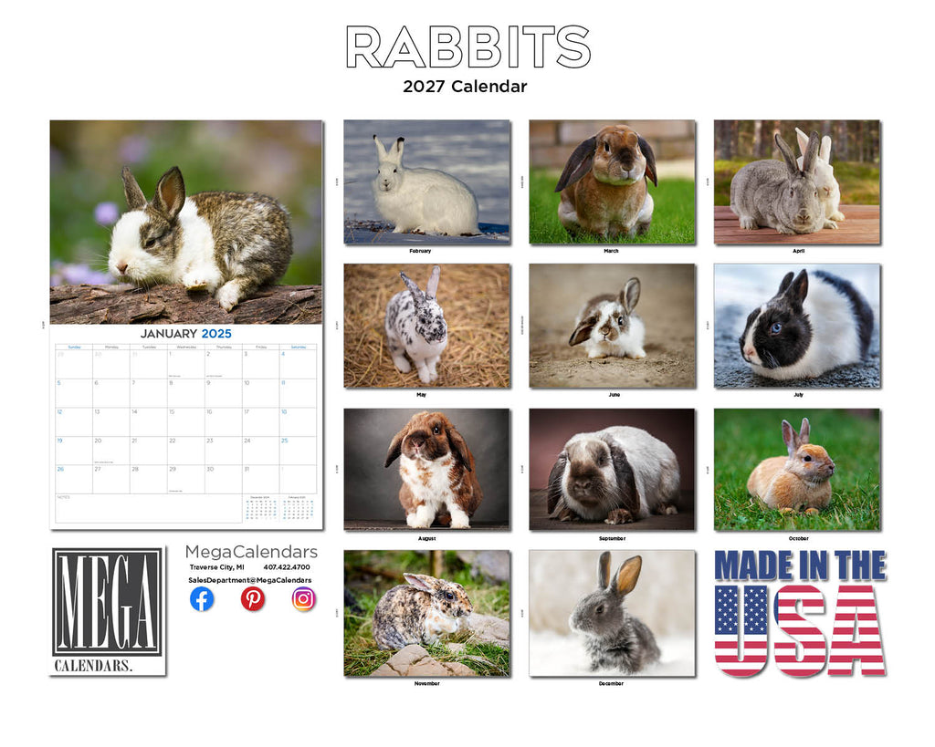 Rabbits Wall Calendar 2027 - 12" x 9" 14-Month Cute Bunny Calendar