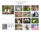 Rabbits Wall Calendar 2027 - 12" x 9" 14-Month Cute Bunny Calendar