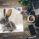 Rabbits Wall Calendar 2027 - 12" x 9" 14-Month Cute Bunny Calendar