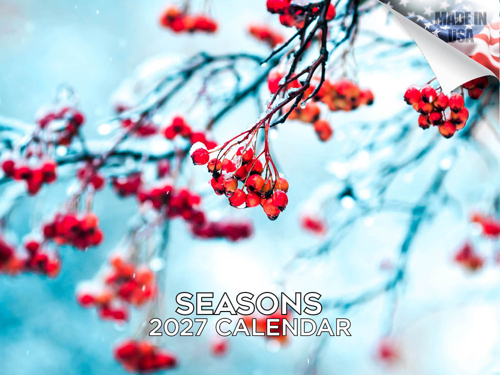 Seasons Wall Calendar 2027 - 12" x 9" 14-Month Scenic Nature Year Calendar