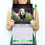 Pandas Wall Calendar 2025