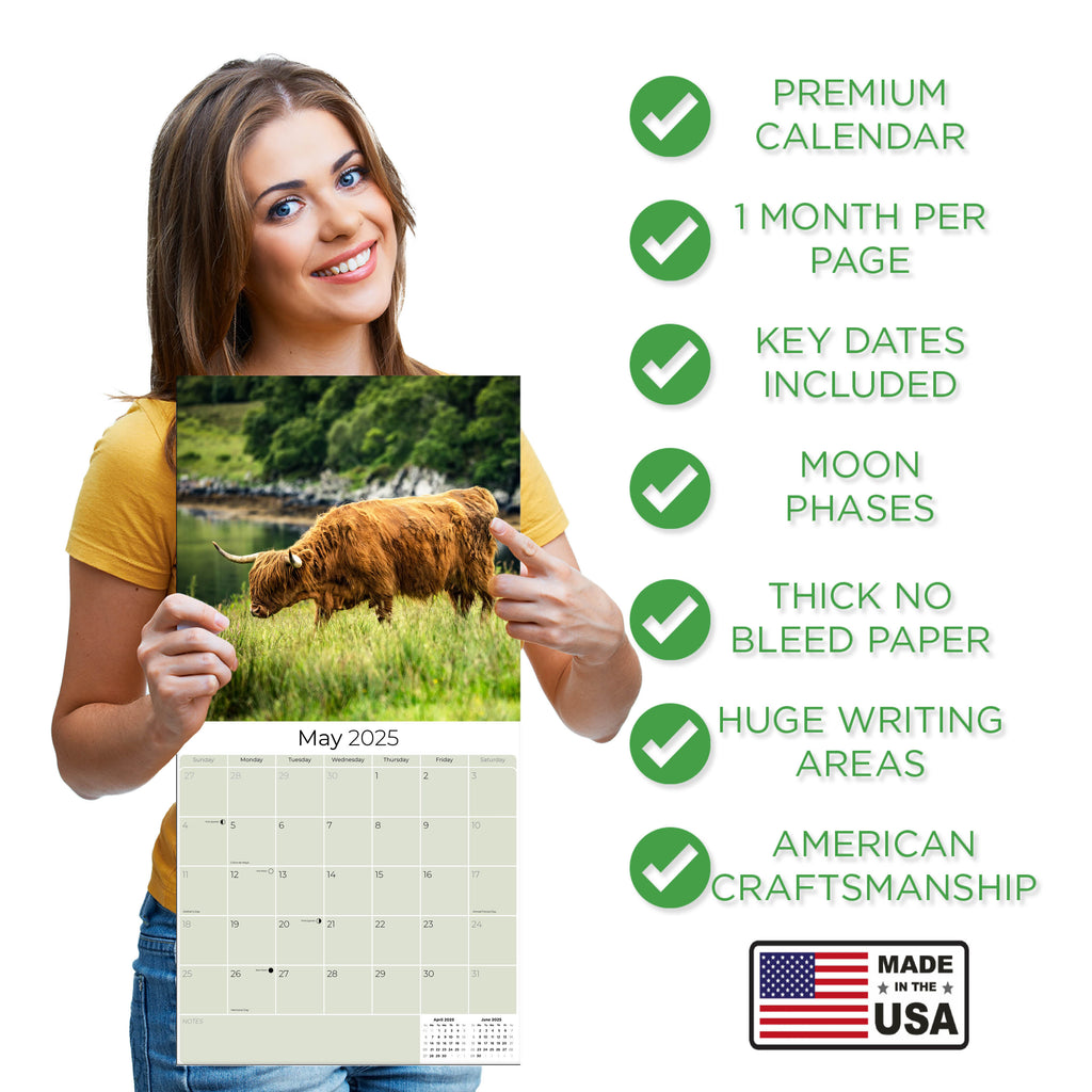 Highland Cows Calendar 2025