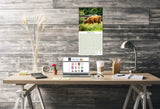 Highland Cows Calendar 2025