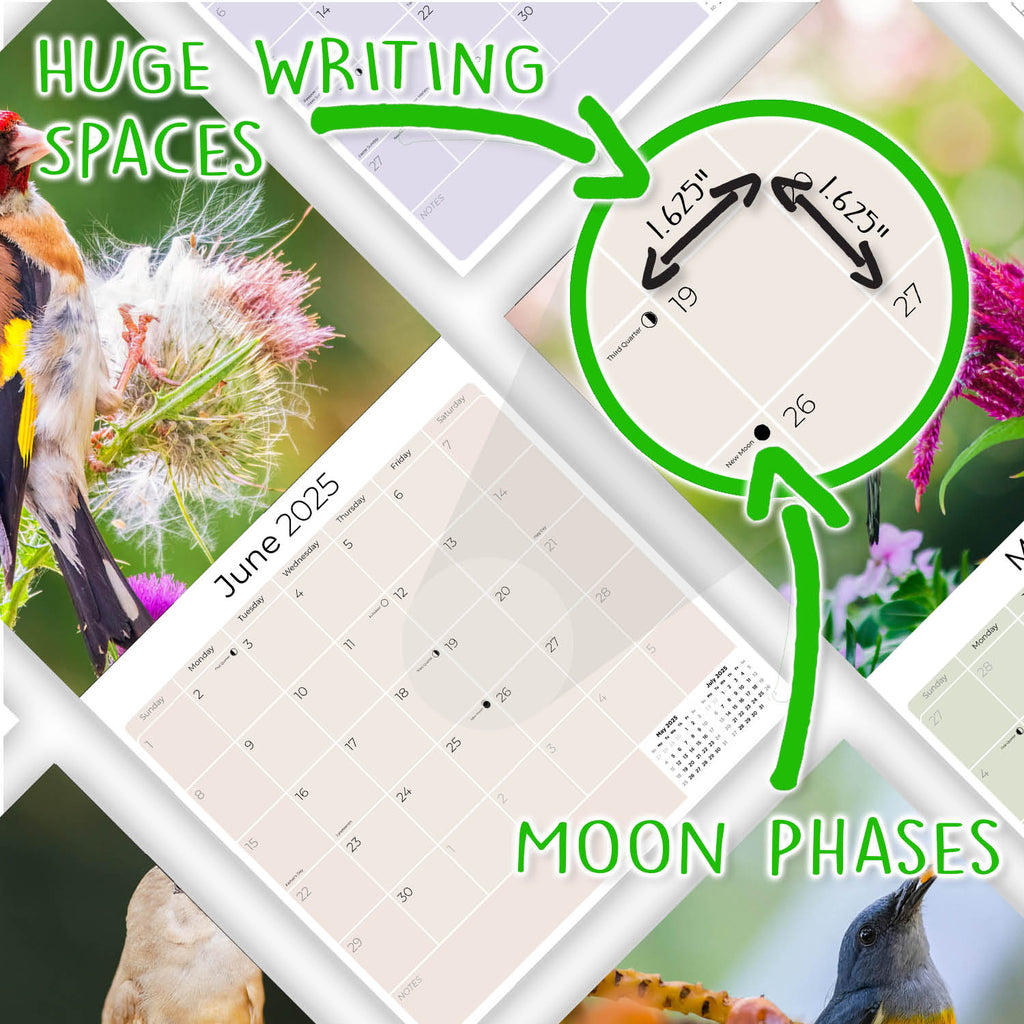 Garden Birds Wall Calendar 2025