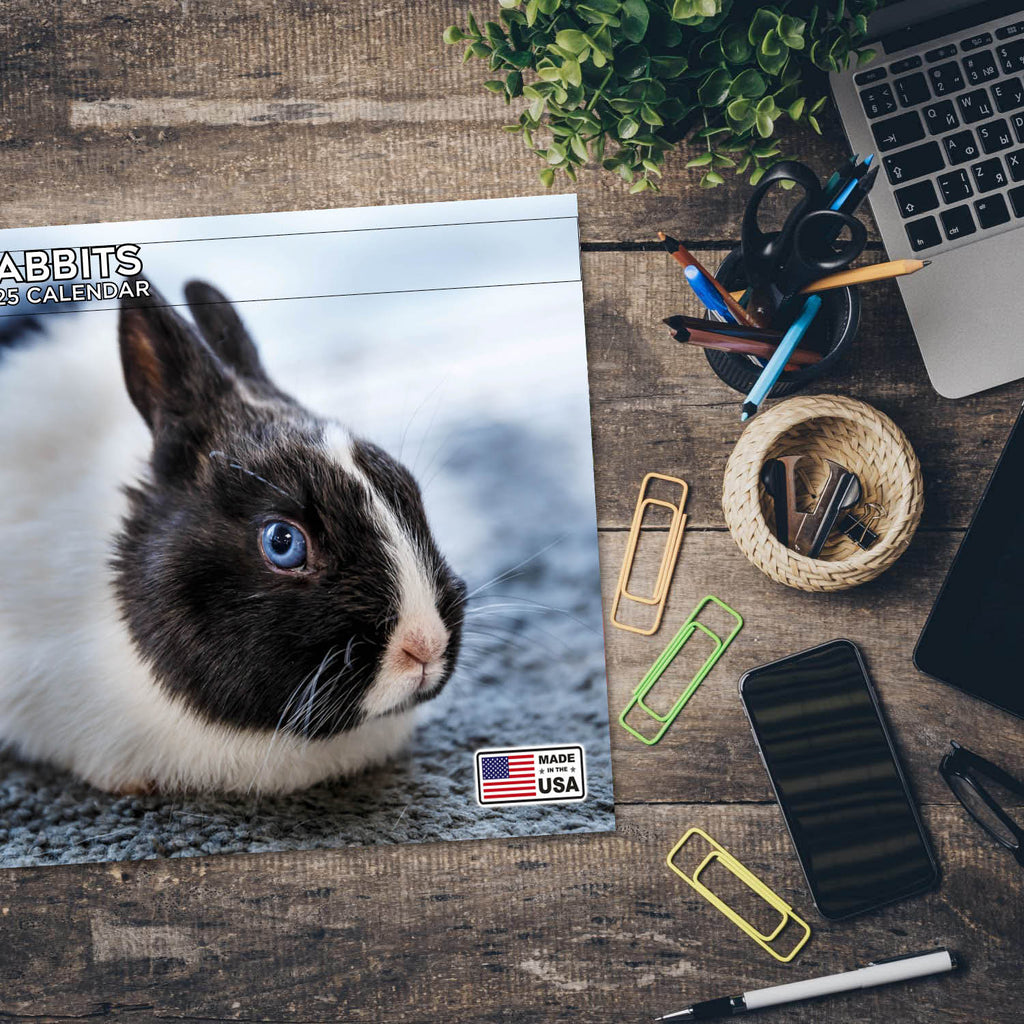 Rabbits Wall Calendar 2025
