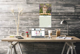 Owls Wall Calendar 2025