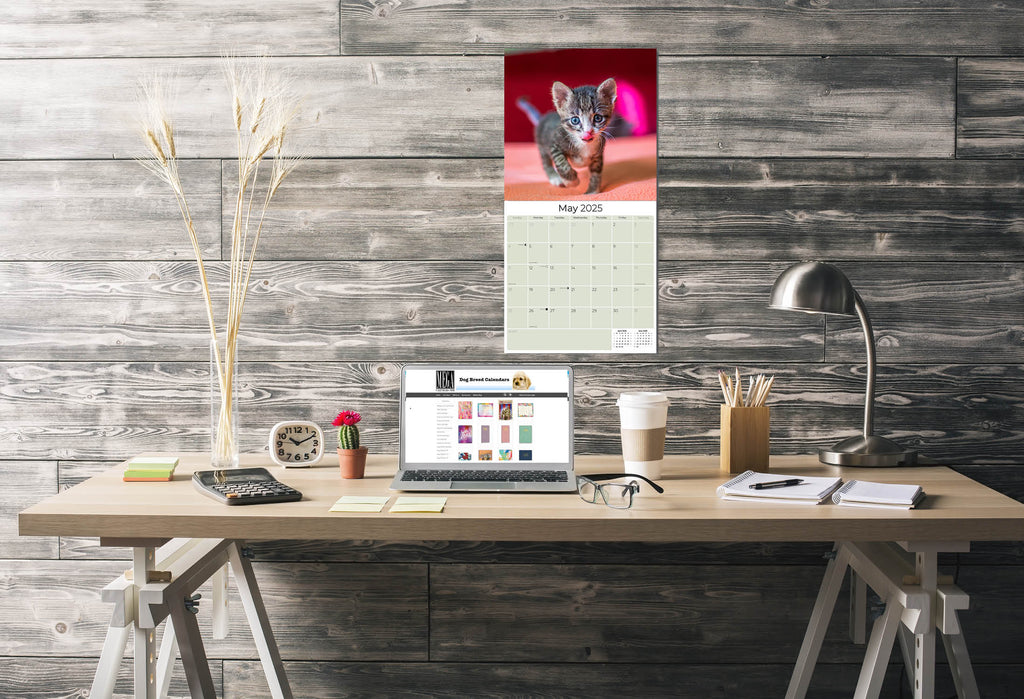 Kittens Wall Calendar 2025