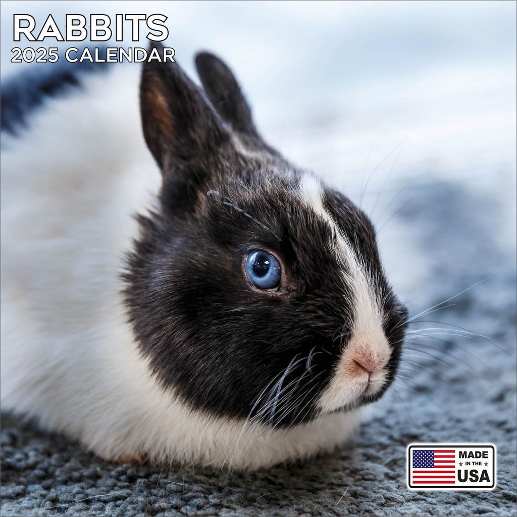 Rabbits Wall Calendar 2025