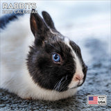 Rabbits Wall Calendar 2025