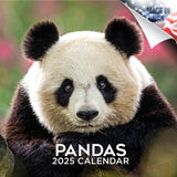Pandas Wall Calendar 2025