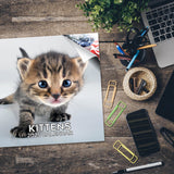 Kittens Wall Calendar 2025