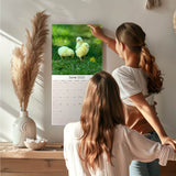 Chickens Wall Calendar 2025