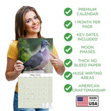 Pigeons Wall Calendar 2025