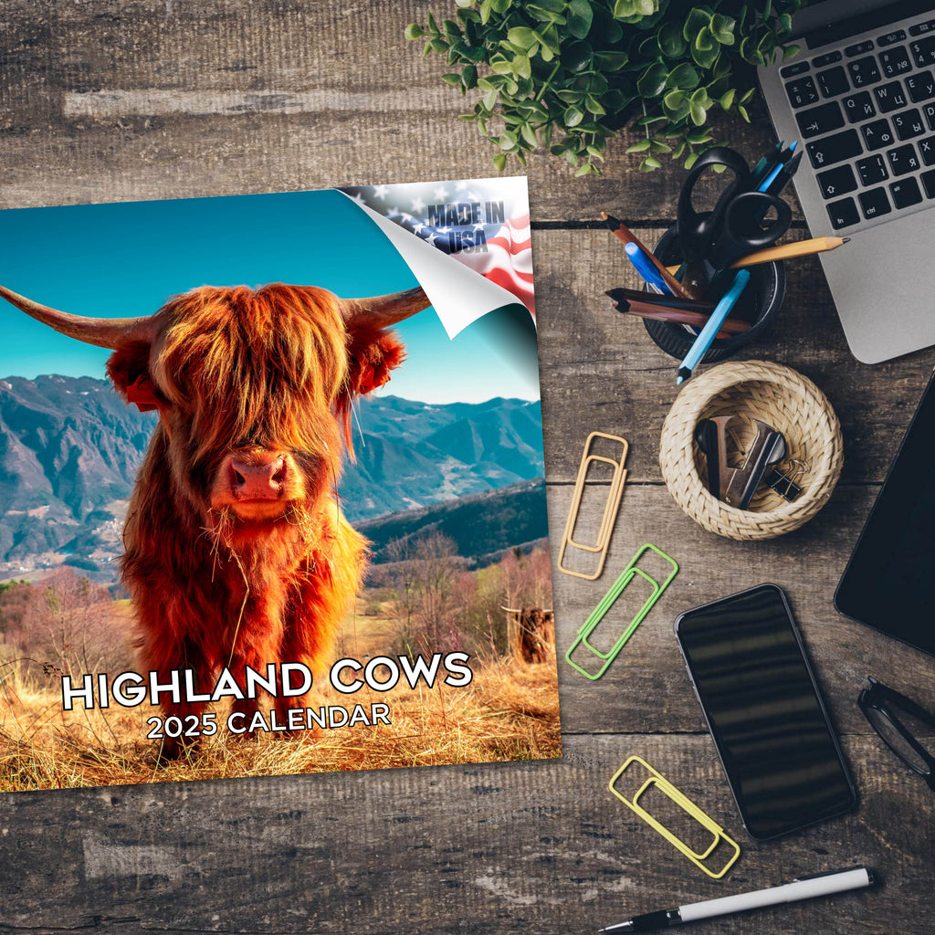 Highland Cows Calendar 2025