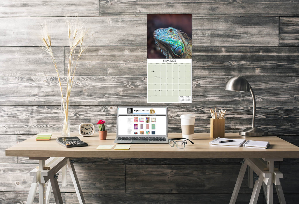 Lizards Wall Calendar 2025