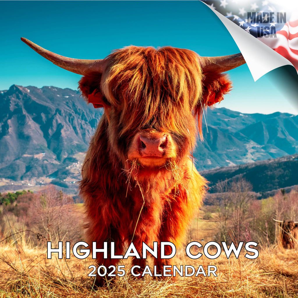 Highland Cows Calendar 2025