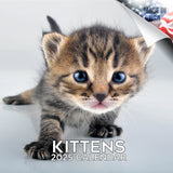 Kittens Wall Calendar 2025