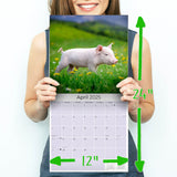 Pigs Wall Calendar 2025