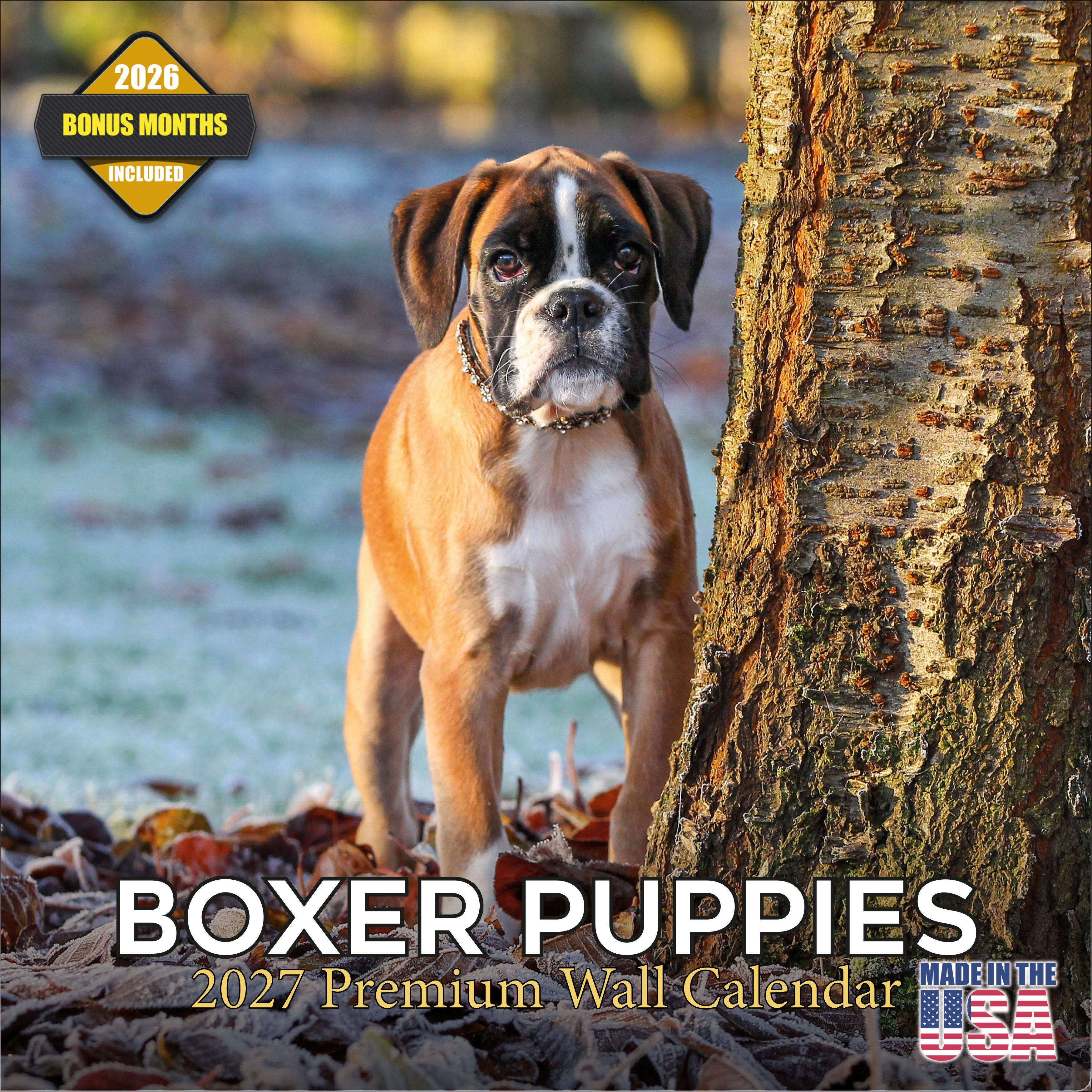 Boxer Puppies Wall Calendar 2027 - 12