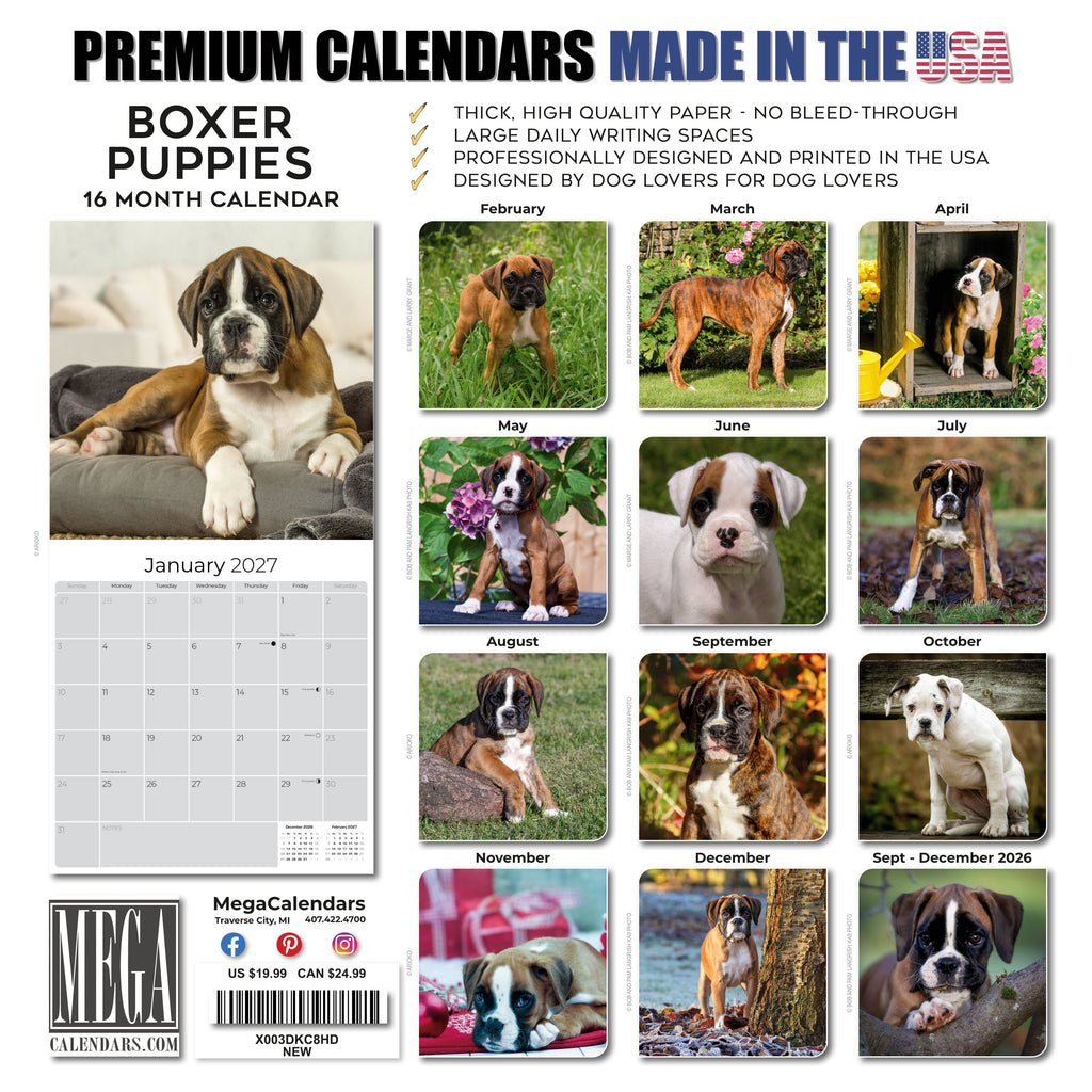 Boxer Puppies Wall Calendar 2027 - 12" x 12" Monthly Adorable Mischievous Boxer Puppy Calendar
