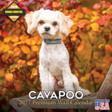 Cavapoo Wall Calendar 2027 - 12" x 12" Monthly Loving Intelligent Designer Cavoodle Calendar