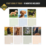 Cavapoo Wall Calendar 2027 - 12" x 12" Monthly Loving Intelligent Designer Cavoodle Calendar