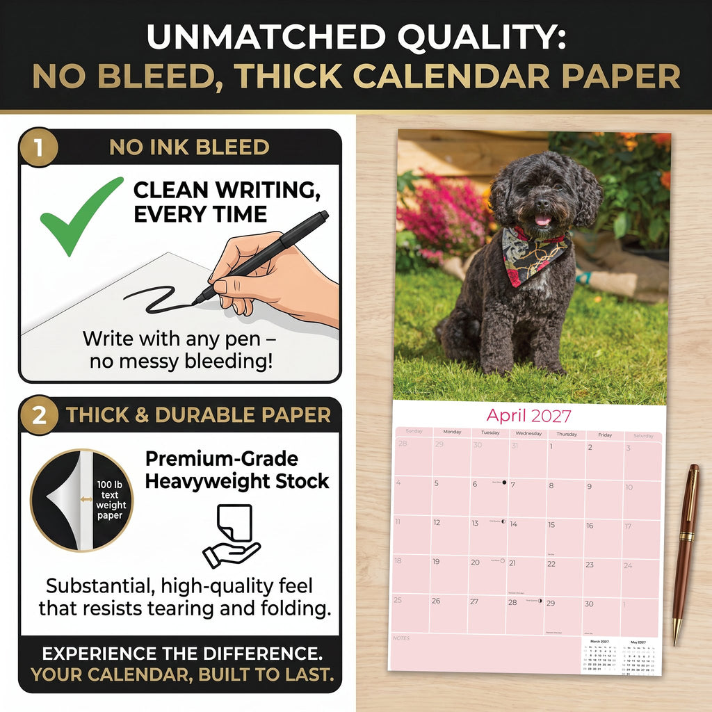 Cavapoo Wall Calendar 2027 - 12" x 12" Monthly Loving Intelligent Designer Cavoodle Calendar
