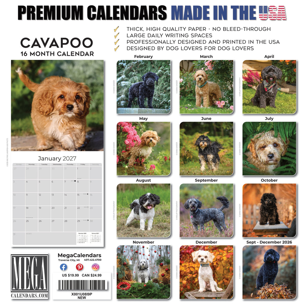 Cavapoo Wall Calendar 2027 - 12" x 12" Monthly Loving Intelligent Designer Cavoodle Calendar