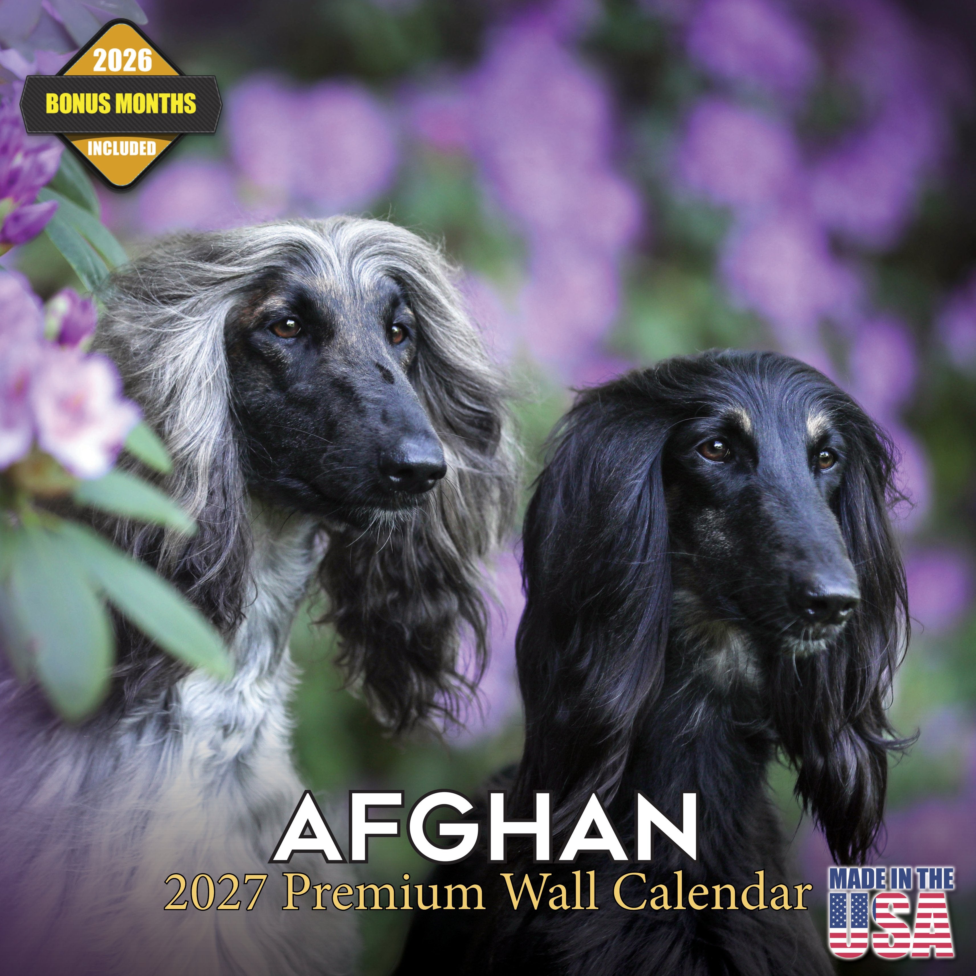 Afghan Hound Wall Calendar 2027 - 12