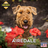 Airedale Terrier Wall Calendar 2027 - 12" x 12" Monthly Terrier Breed & Working Dog Calendar