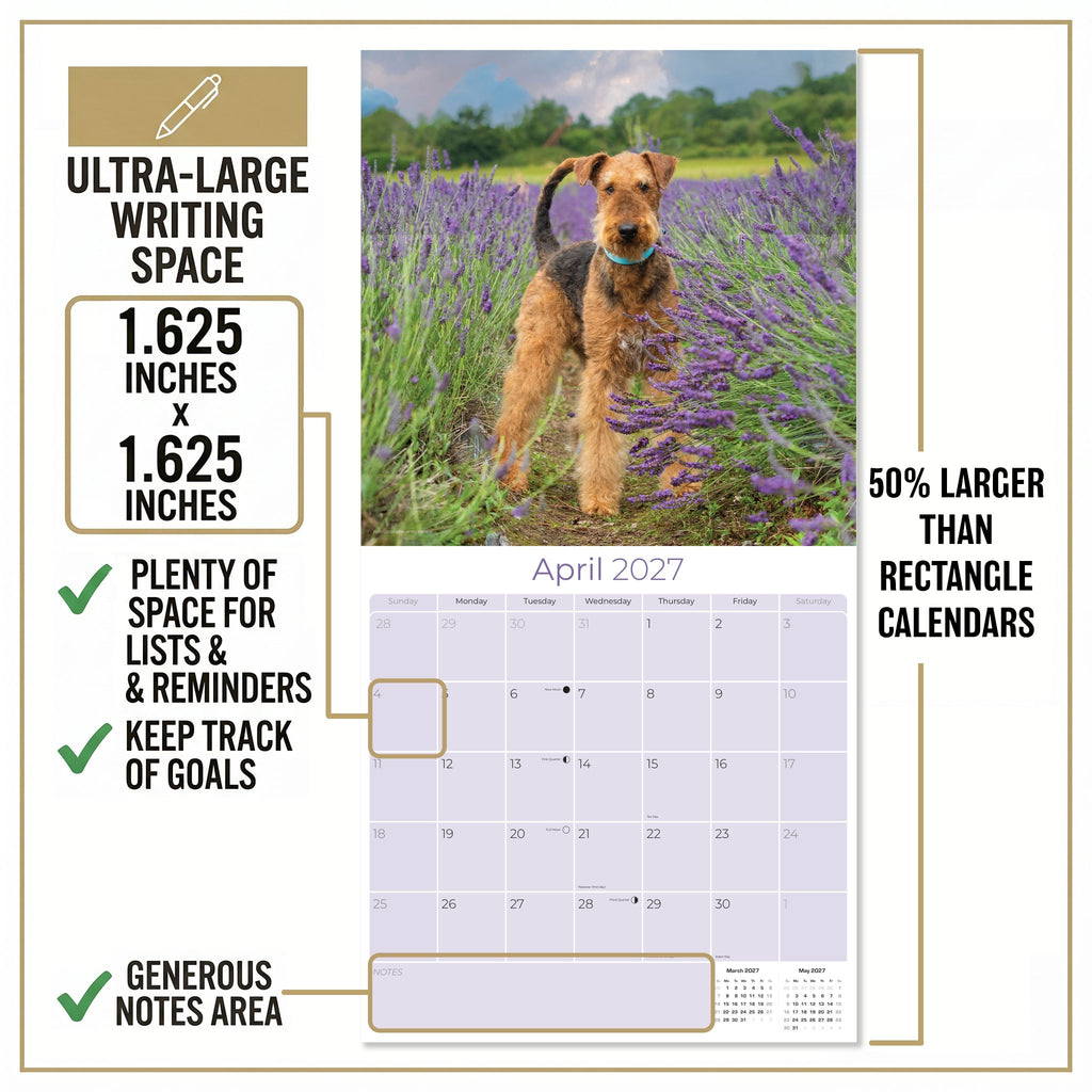 Airedale Terrier Wall Calendar 2027 - 12" x 12" Monthly Terrier Breed & Working Dog Calendar