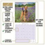 Airedale Terrier Wall Calendar 2027 - 12" x 12" Monthly Terrier Breed & Working Dog Calendar