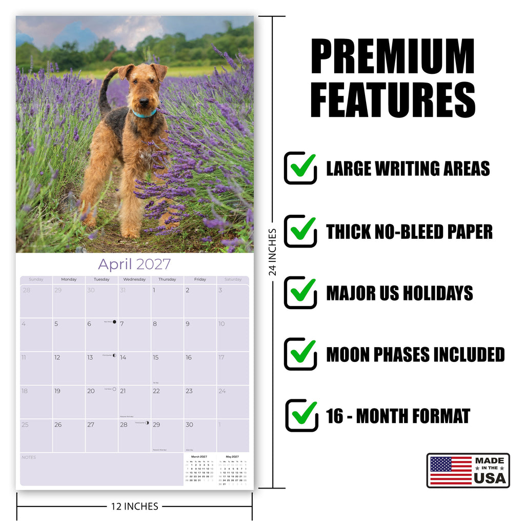 Airedale Terrier Wall Calendar 2027 - 12" x 12" Monthly Terrier Breed & Working Dog Calendar