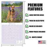 Airedale Terrier Wall Calendar 2027 - 12" x 12" Monthly Terrier Breed & Working Dog Calendar