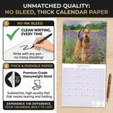 Airedale Terrier Wall Calendar 2027 - 12" x 12" Monthly Terrier Breed & Working Dog Calendar