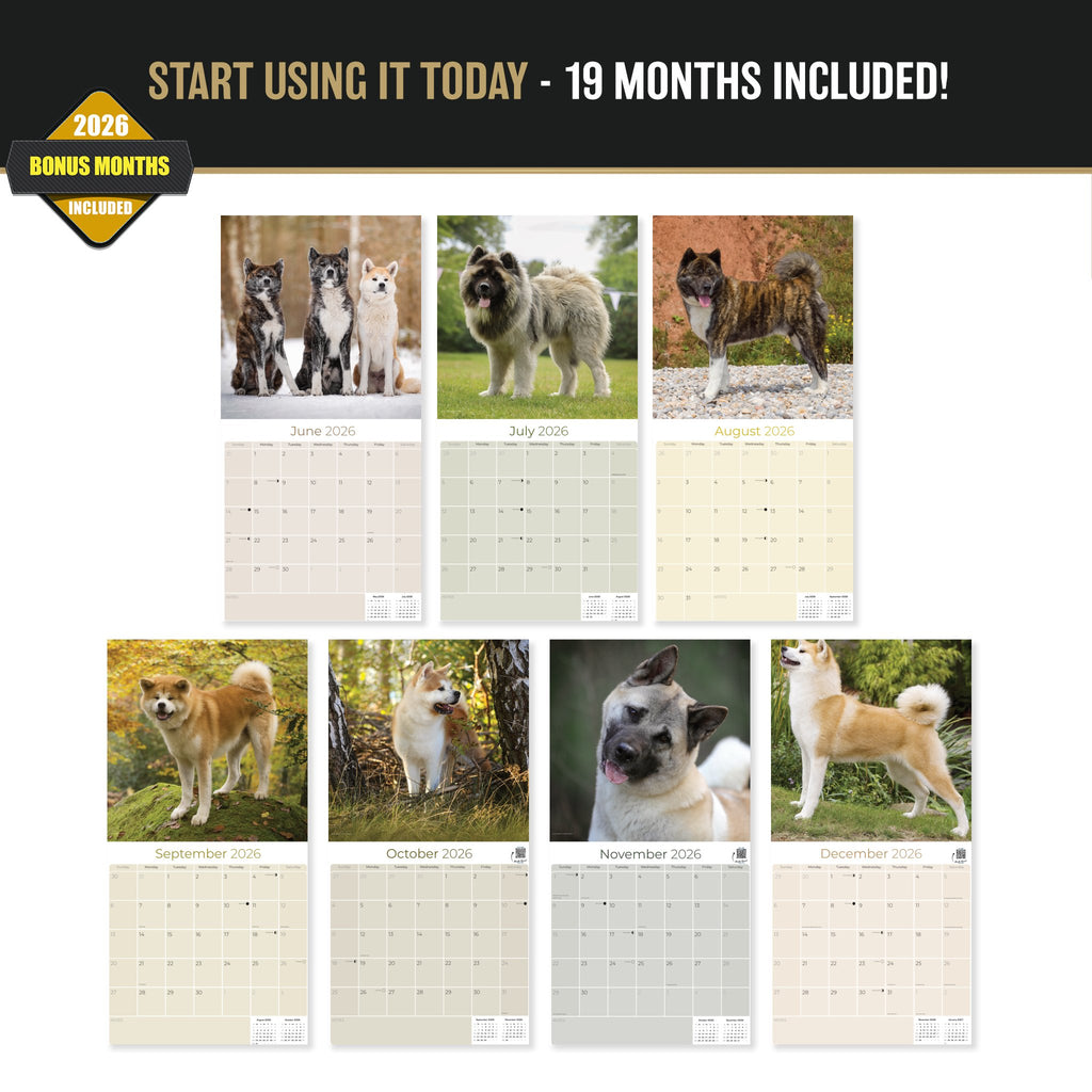 Akita Wall Calendar 2027 - 12" x 12" Monthly Japanese Guard Dog & Companion Breed Calendar