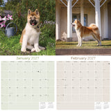 Akita Wall Calendar 2027 - 12" x 12" Monthly Japanese Guard Dog & Companion Breed Calendar