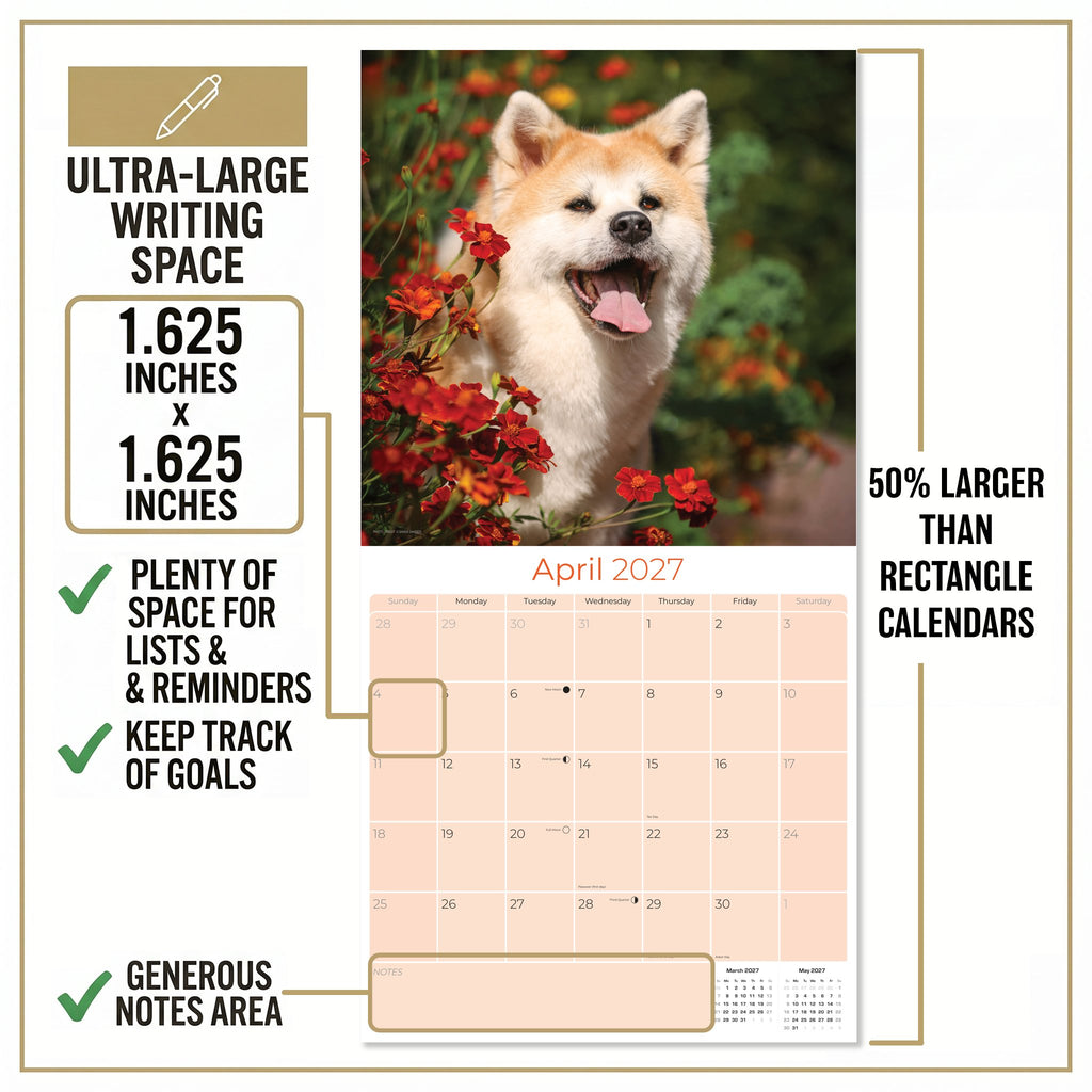 Akita Wall Calendar 2027 - 12" x 12" Monthly Japanese Guard Dog & Companion Breed Calendar