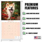 Akita Wall Calendar 2027 - 12" x 12" Monthly Japanese Guard Dog & Companion Breed Calendar